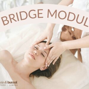Fascia haladó bridge modul Budapest